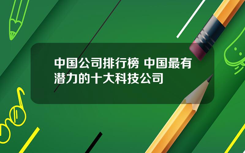 中国公司排行榜 中国最有潜力的十大科技公司